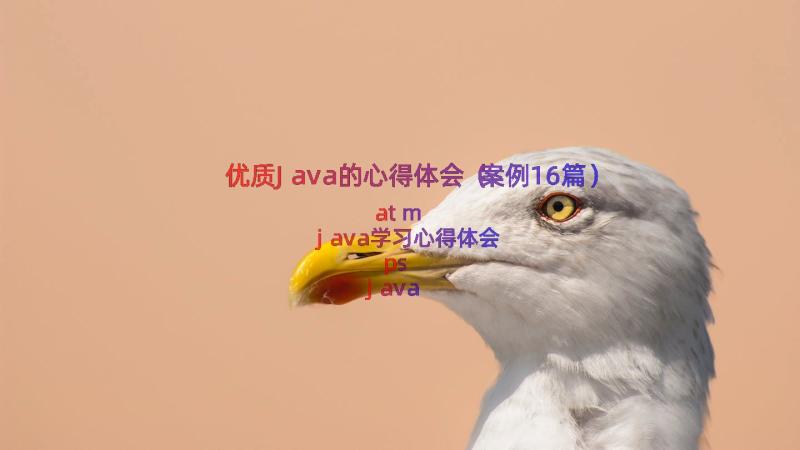 优质Java的心得体会（案例16篇）