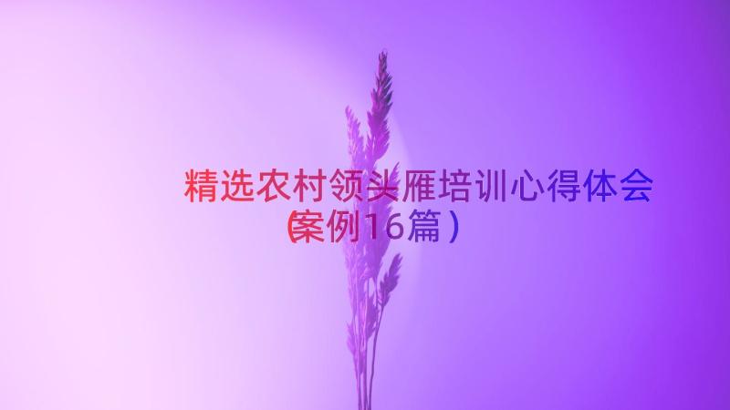 精选农村领头雁培训心得体会（案例16篇）