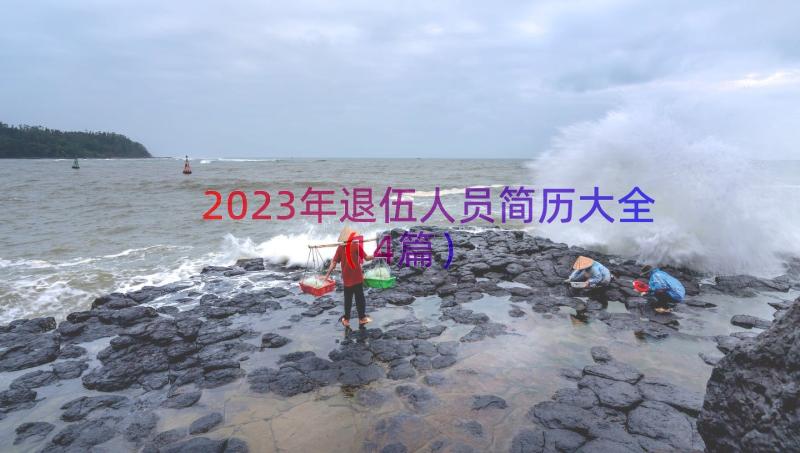 2023年退伍人员简历大全（14篇）