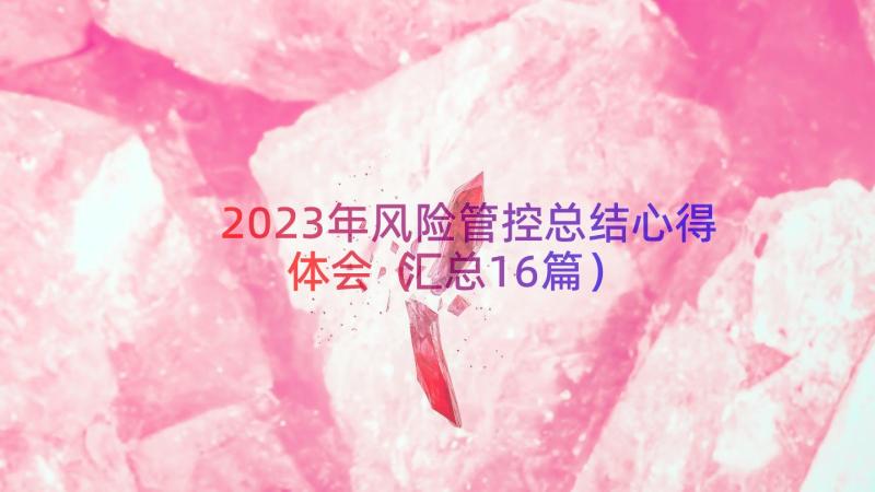 2023年风险管控总结心得体会（汇总16篇）