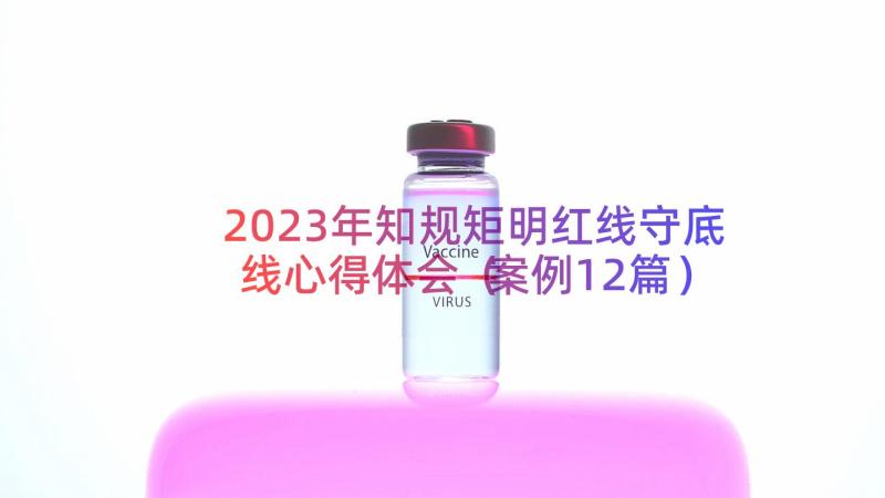 2023年知规矩明红线守底线心得体会（案例12篇）