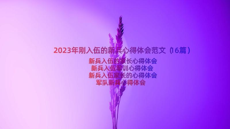 2023年刚入伍的新兵心得体会范文（16篇）