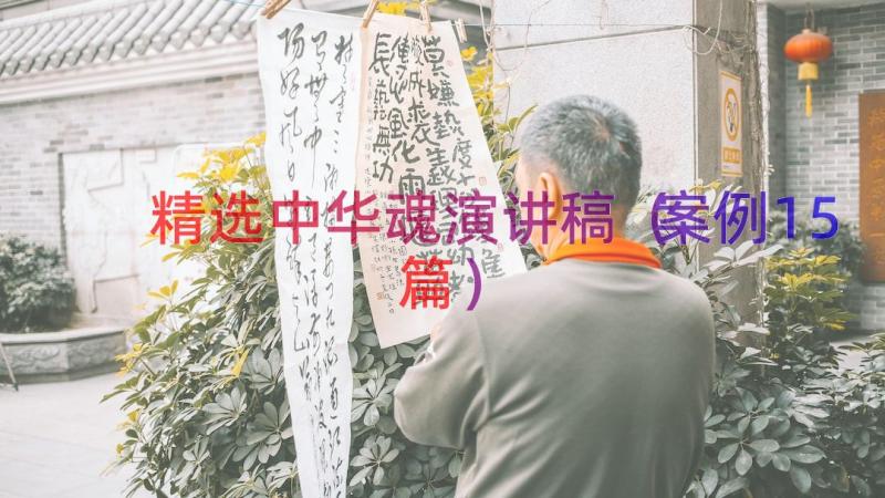 精选中华魂演讲稿（案例15篇）