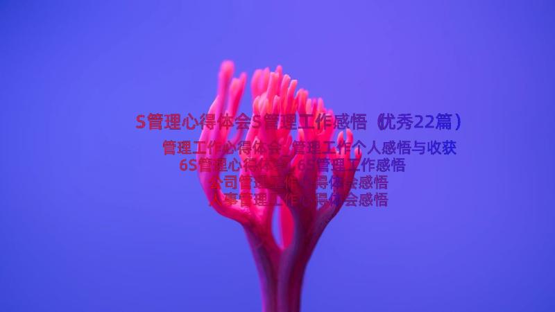 S管理心得体会S管理工作感悟（优秀22篇）