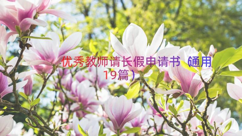 优秀教师请长假申请书（通用19篇）