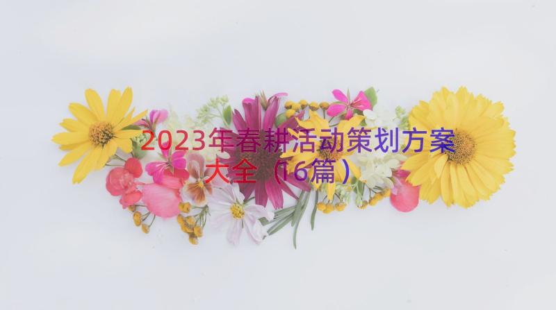 2023年春耕活动策划方案大全（16篇）