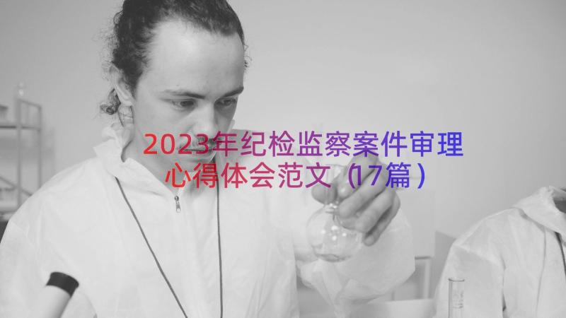 2023年纪检监察案件审理心得体会范文（17篇）