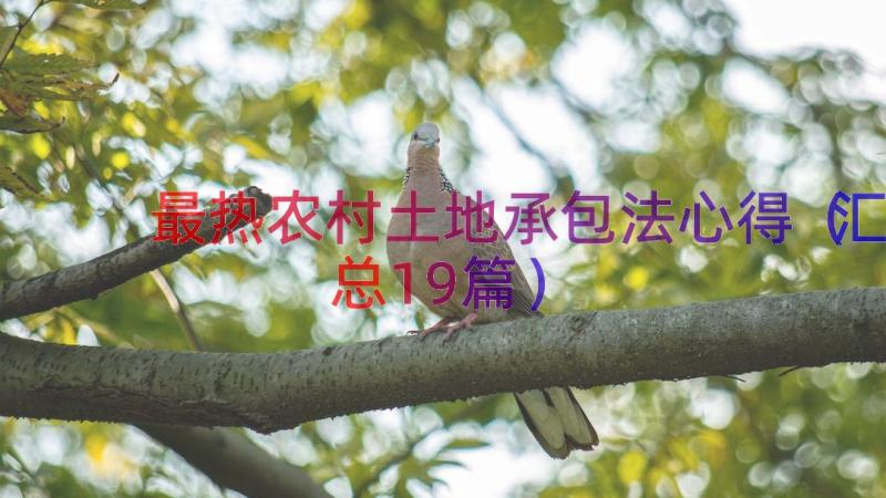 最热农村土地承包法心得（汇总19篇）