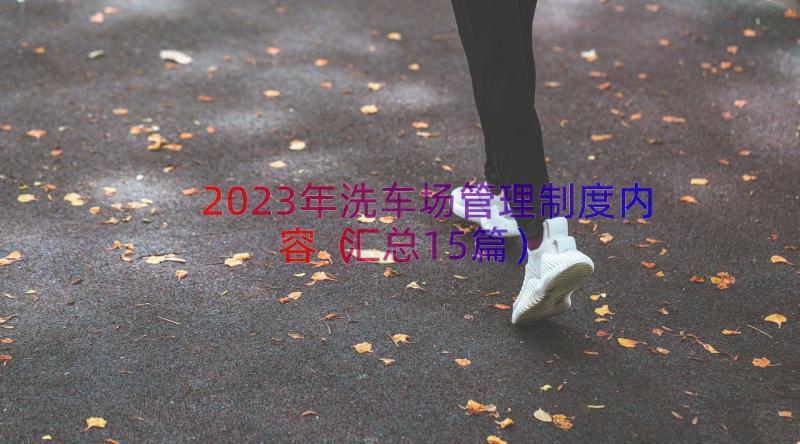 2023年洗车场管理制度内容（汇总15篇）