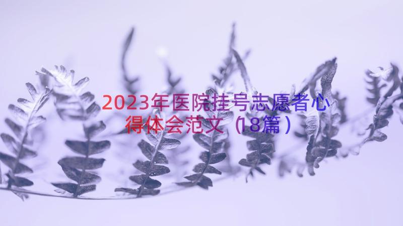 2023年医院挂号志愿者心得体会范文（18篇）