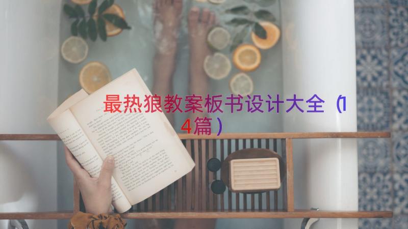 最热狼教案板书设计大全（14篇）