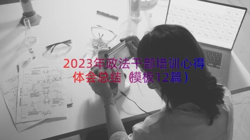 2023年政法干部培训心得体会总结（模板12篇）