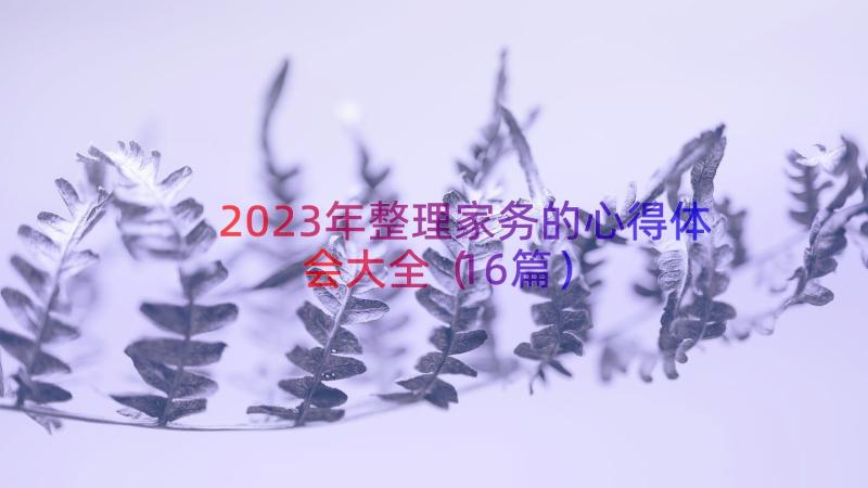 2023年整理家务的心得体会大全（16篇）