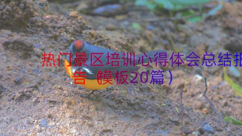 热门景区培训心得体会总结报告（模板20篇）