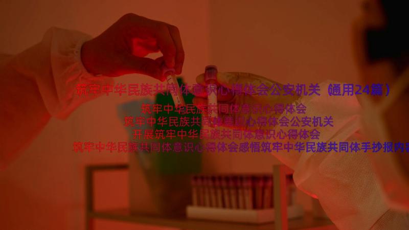 筑牢中华民族共同体意识心得体会公安机关（通用24篇）