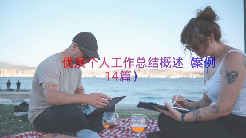 优质个人工作总结概述（案例14篇）