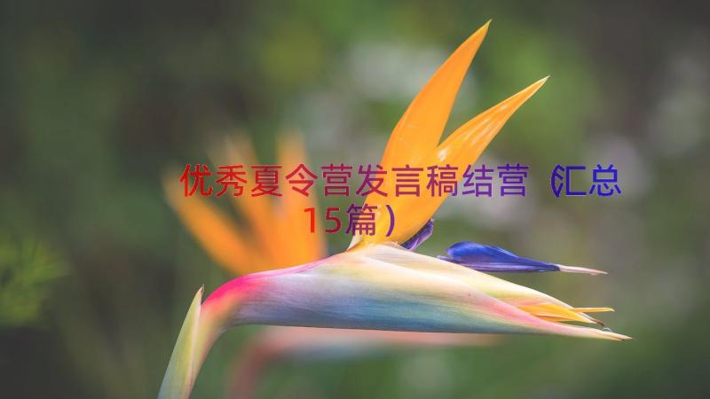 优秀夏令营发言稿结营（汇总15篇）