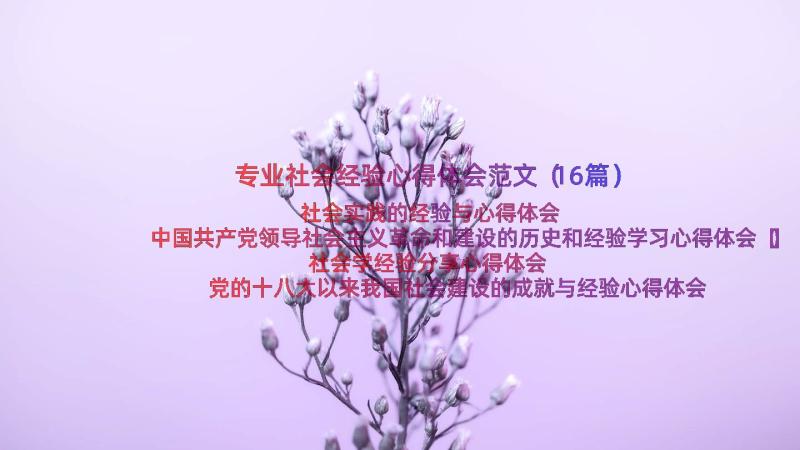 专业社会经验心得体会范文（16篇）