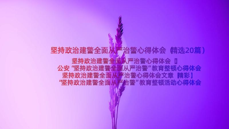 坚持政治建警全面从严治警心得体会（精选20篇）