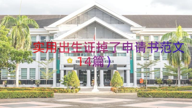 实用出生证掉了申请书范文（14篇）