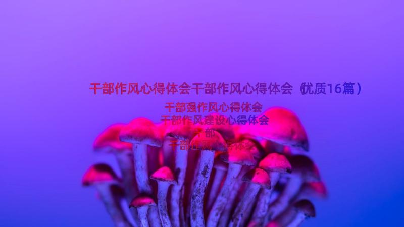 干部作风心得体会干部作风心得体会（优质16篇）