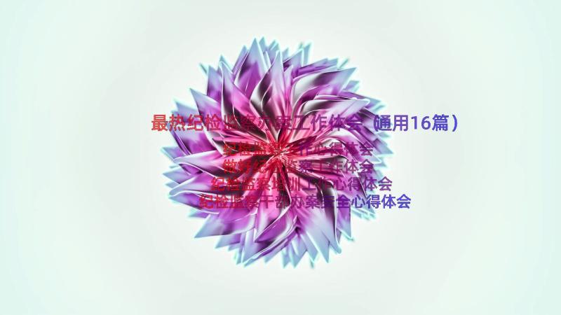 最热纪检监察办案工作体会（通用16篇）