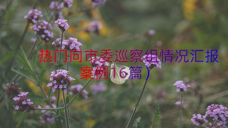 热门向市委巡察组情况汇报（案例16篇）