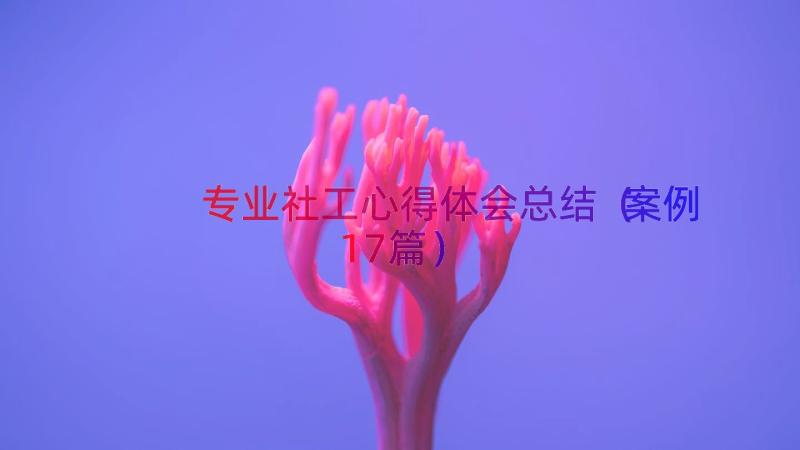 专业社工心得体会总结（案例17篇）