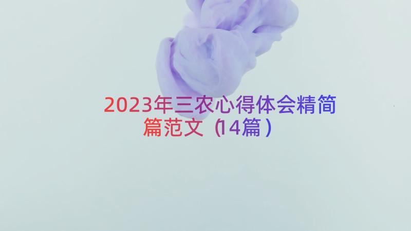 2023年三农心得体会精简篇范文（14篇）