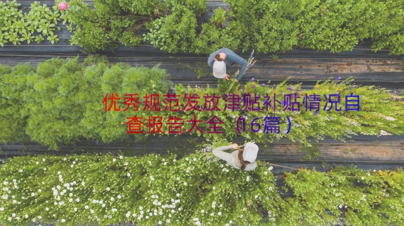 优秀规范发放津贴补贴情况自查报告大全（16篇）