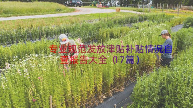 专业规范发放津贴补贴情况自查报告大全（17篇）