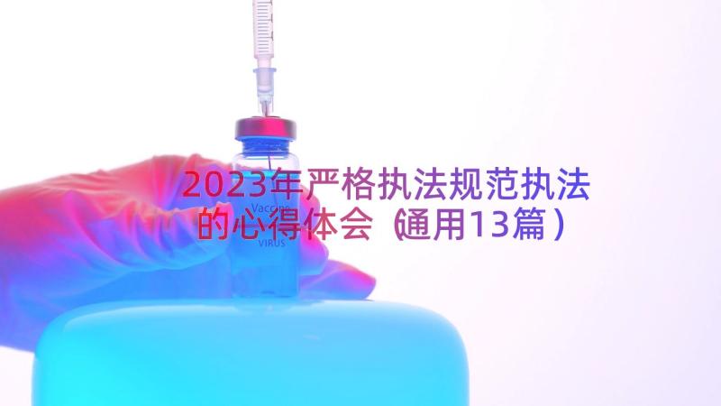 2023年严格执法规范执法的心得体会（通用13篇）