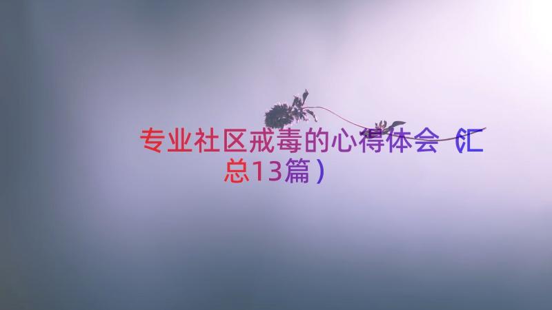 专业社区戒毒的心得体会（汇总13篇）