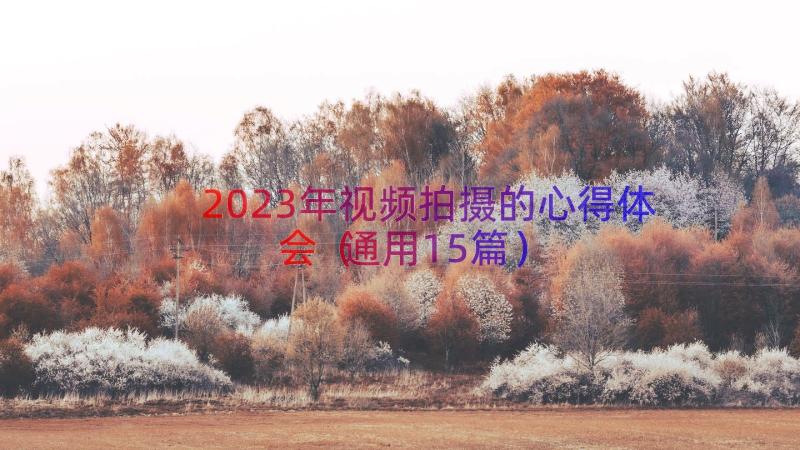 2023年视频拍摄的心得体会（通用15篇）