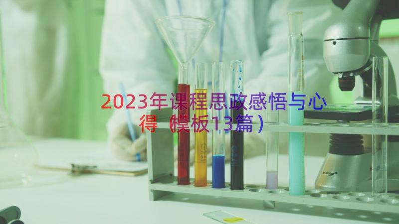 2023年课程思政感悟与心得（模板13篇）