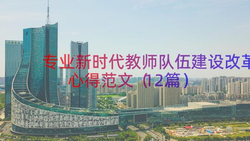 专业新时代教师队伍建设改革心得范文（12篇）