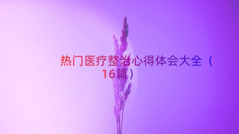 热门医疗整治心得体会大全（16篇）