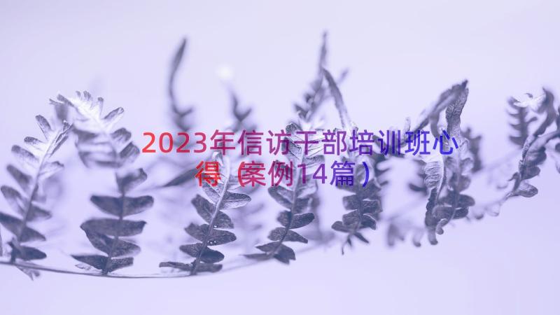 2023年信访干部培训班心得（案例14篇）