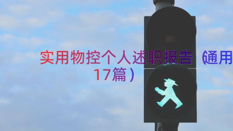 实用物控个人述职报告（通用17篇）