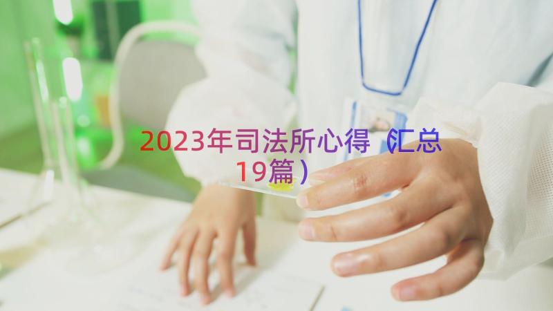 2023年司法所心得（汇总19篇）