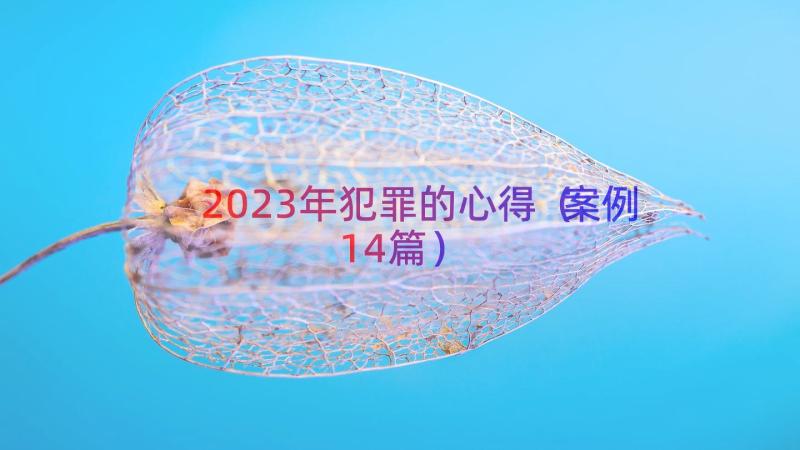 2023年犯罪的心得（案例14篇）