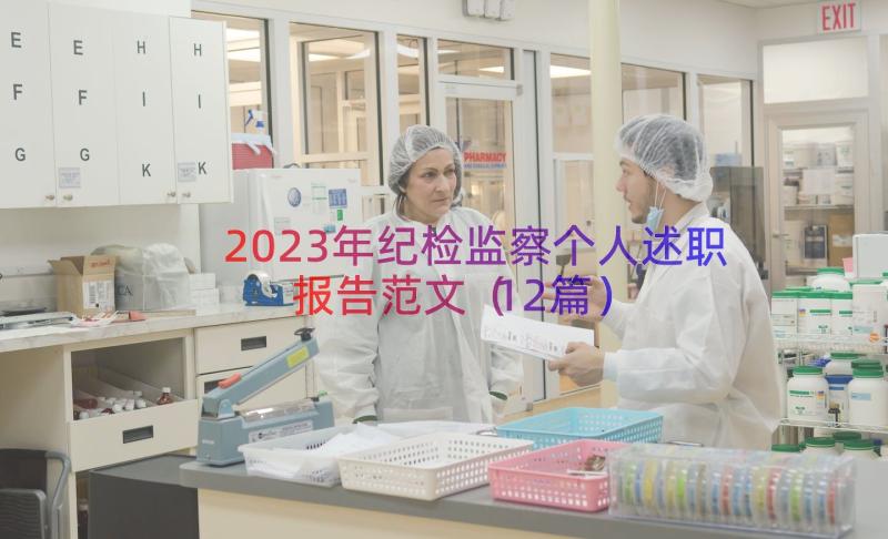 2023年纪检监察个人述职报告范文（12篇）