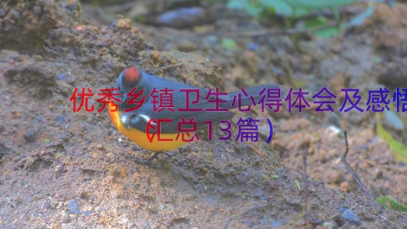 优秀乡镇卫生心得体会及感悟（汇总13篇）