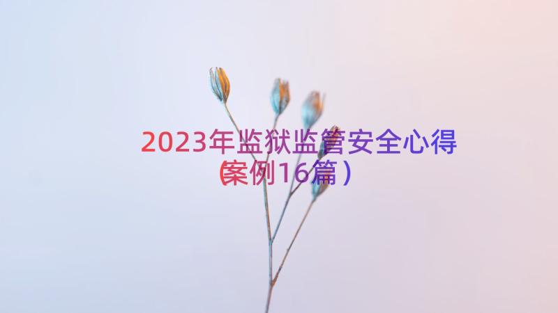 2023年监狱监管安全心得（案例16篇）