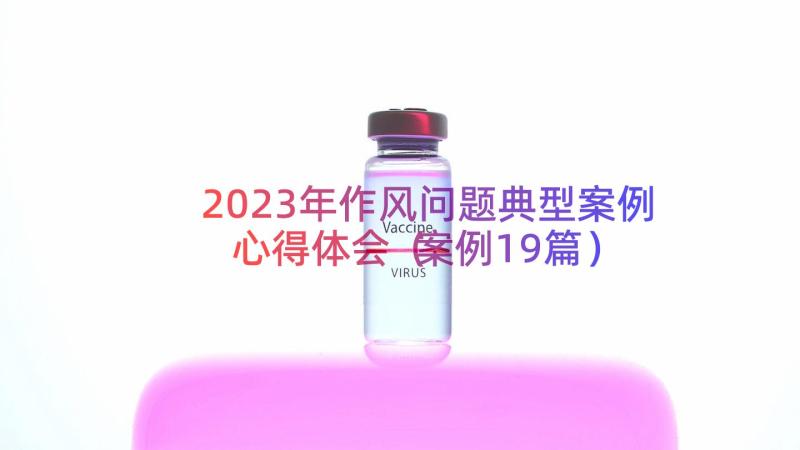 2023年作风问题典型案例心得体会（案例19篇）