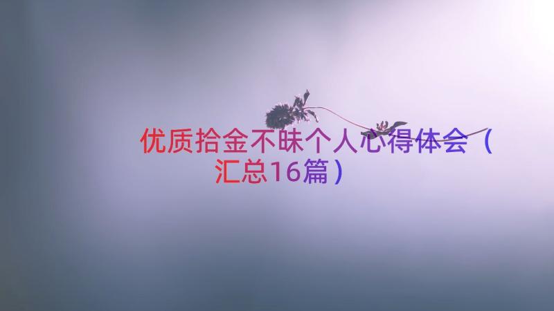 优质拾金不昧个人心得体会（汇总16篇）