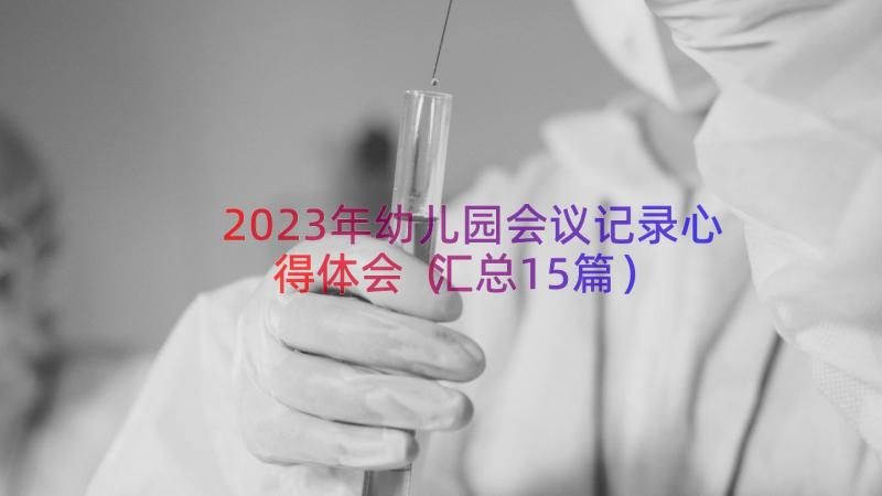 2023年幼儿园会议记录心得体会（汇总15篇）