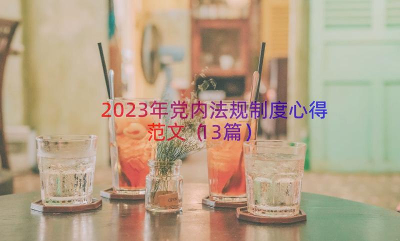 2023年党内法规制度心得范文（13篇）