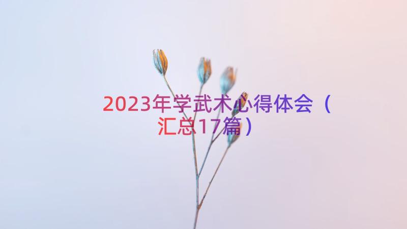 2023年学武术心得体会（汇总17篇）