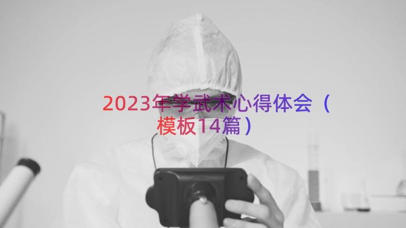 2023年学武术心得体会（模板14篇）